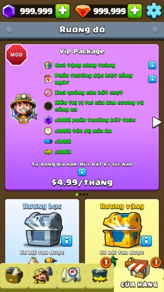 Diamond Quest: Don't Rush! — the vip pack in the shop